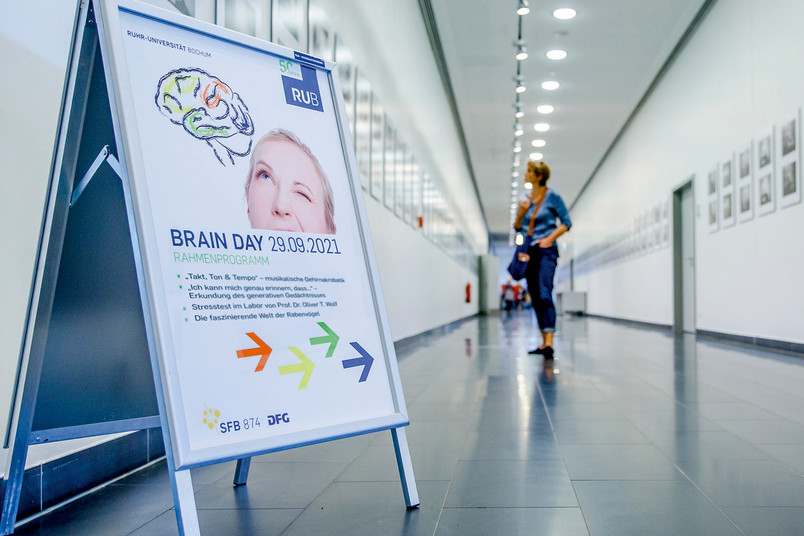 Brain Day - Das Gehirn besser verstehen