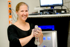  Sara Letzner ließ Menschen im Verhaltensexperiment gegen Tauben antreten. (c) RUB/Marquard